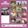 image Irish Wolfhounds 2025 Wall Calendar