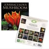 image Miraculous Mushroom 2025 Wall Calendar First Alternate Image