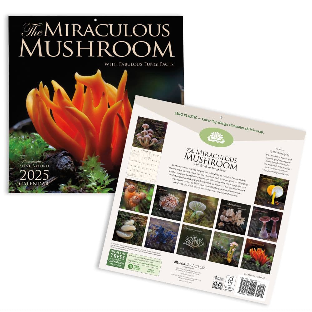 Miraculous Mushroom 2025 Wall Calendar First Alternate Image