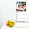 image Shih Tzu 2025 Wall Calendar Fourth Alternate Image width=&quot;1000&quot; height=&quot;1000&quot;