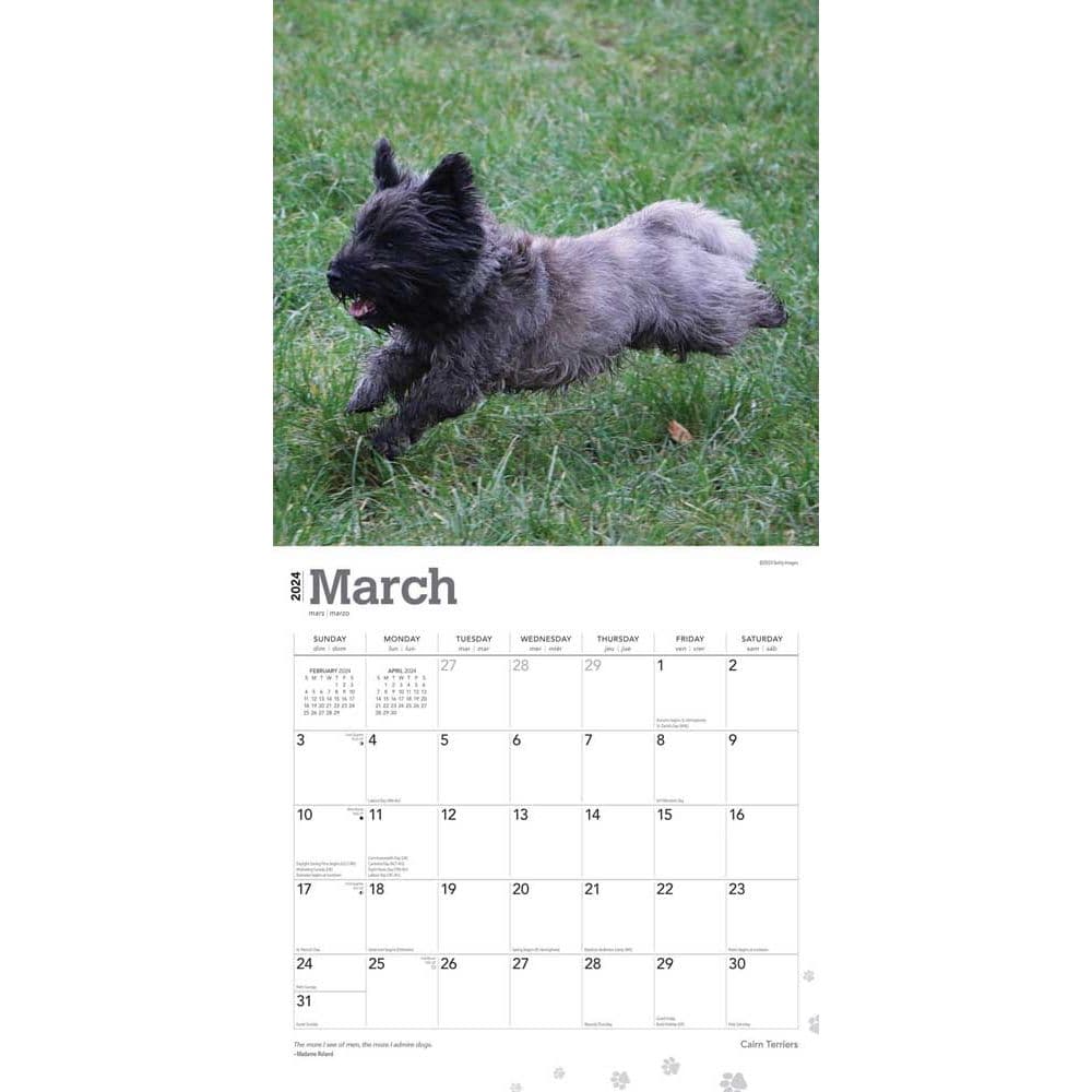 Cairn Terriers 2024 Wall Calendar Second Alternate Image width=&quot;1000&quot; height=&quot;1000&quot;