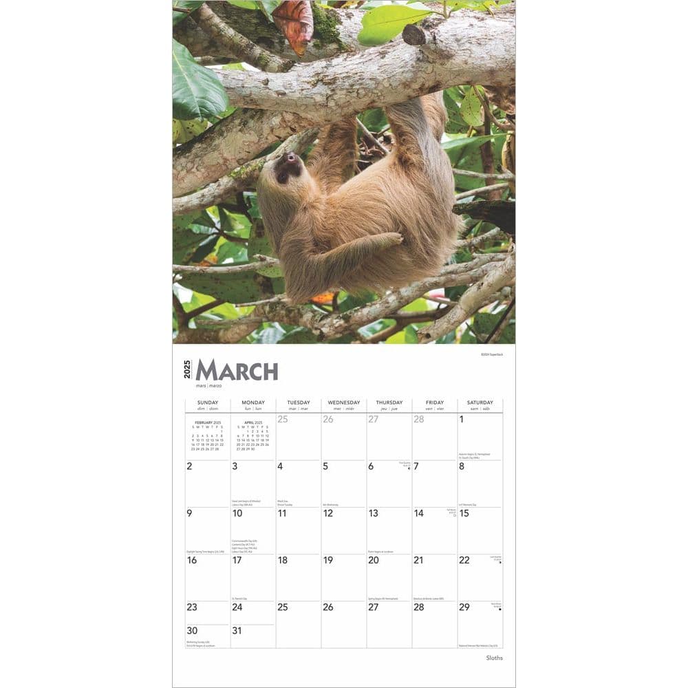 Sloths 2025 Wall Calendar Second Alternate Image width=&quot;1000&quot; height=&quot;1000&quot;