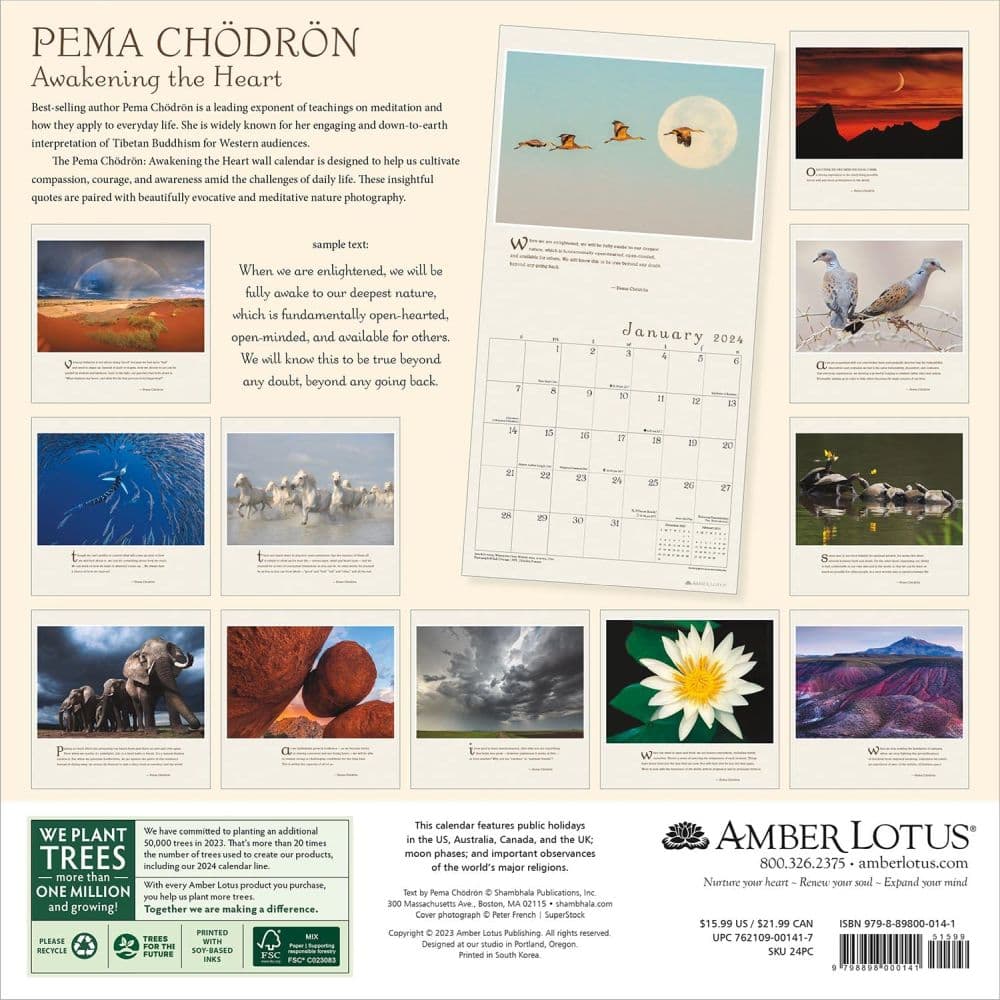 Pema Chodron 2024 Wall Calendar