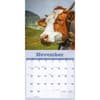 image Just Cows 2026 Wall Calendar Fourth Alternate Image