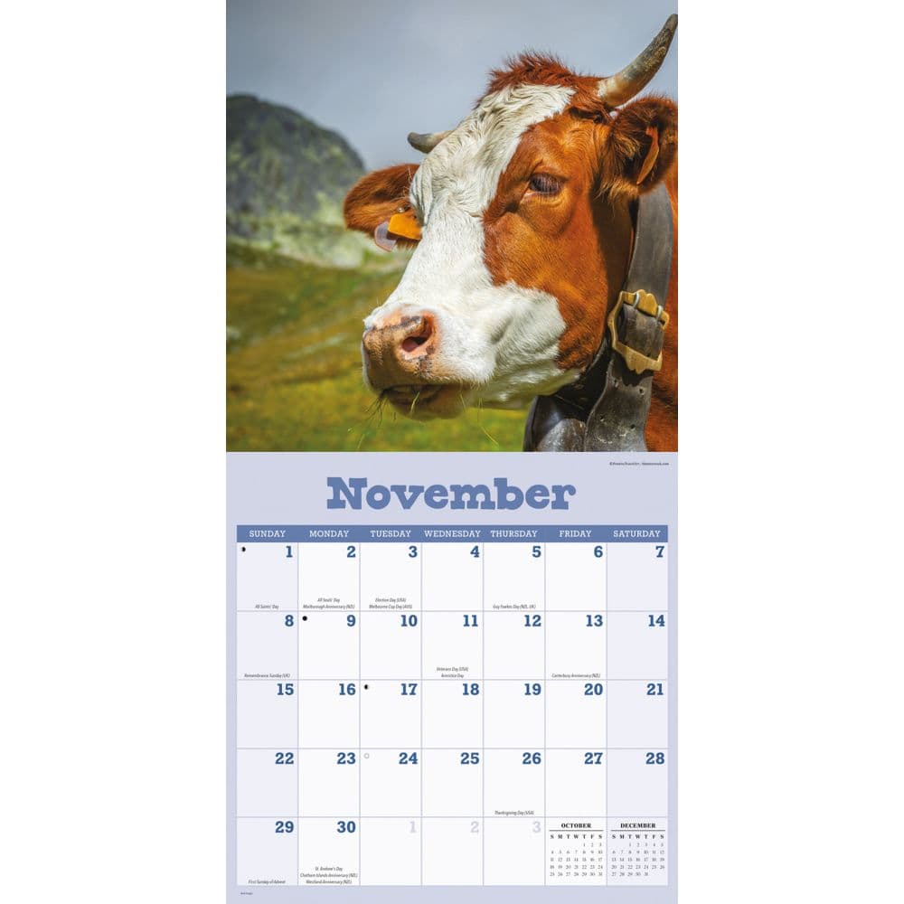 Just Cows 2026 Wall Calendar Fourth Alternate Image