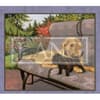 image Puppy 2024 Desktop Wallpaper