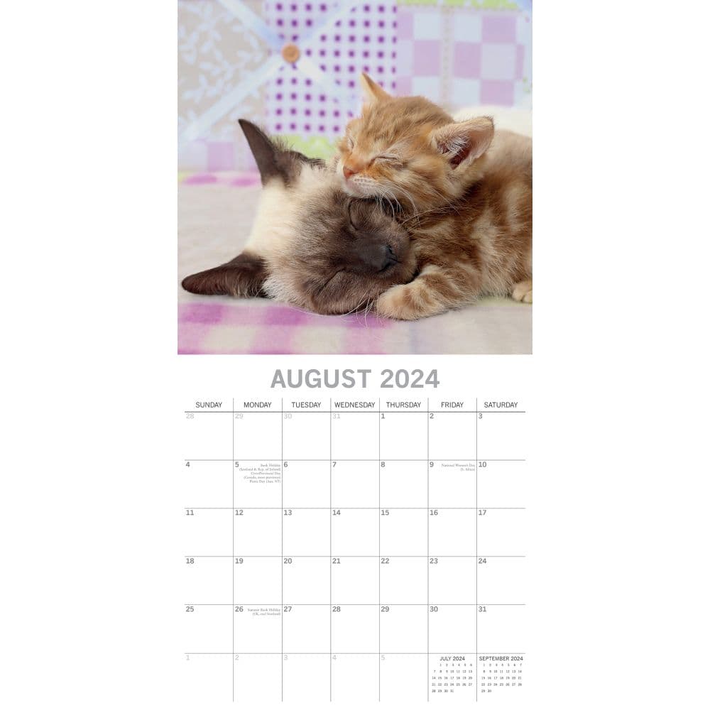 Cats and Kittens 2024 Wall Calendar