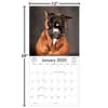 image Doggy Want A Treat 2025 Wall Calendar