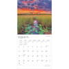image Florida Wild and Scenic 2025 Wall Calendar
