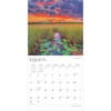 image Florida Wild and Scenic 2025 Wall Calendar
