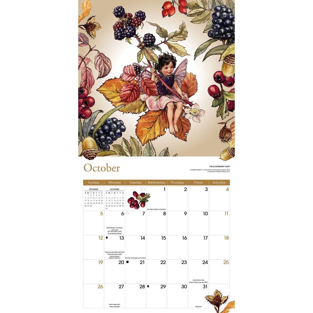 Flower Fairies 2025 Wall Calendar Fourth Alternate Image