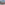 image American Muscle Cars Deluxe 2025 Wall Calendar Main Product Image width=&quot;1000&quot; height=&quot;1000&quot;
