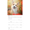 image Pembroke Welsh Corgis 2026 Wall Calendar Third Alternate Image