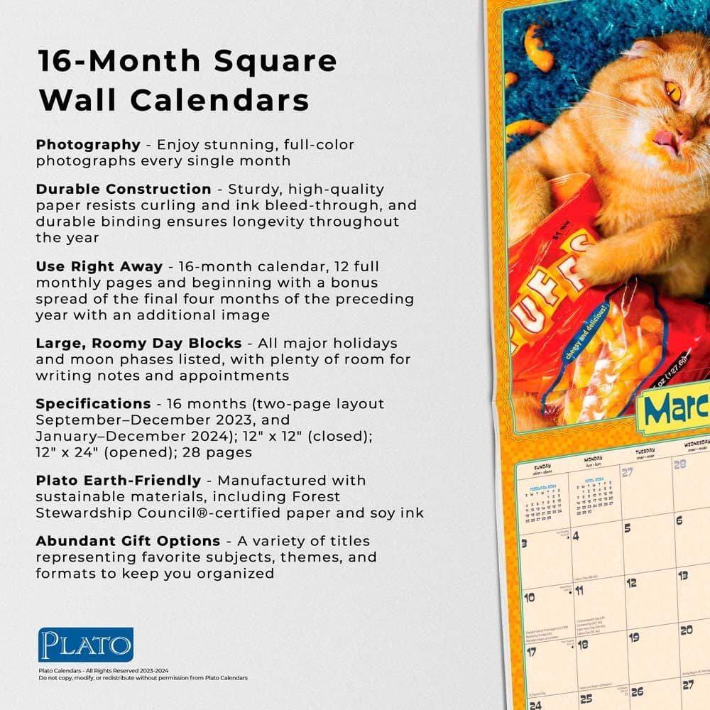 Avanti Cranky Kitties 2024 Wall Calendar Fourth Alternate Image width=&quot;1000&quot; height=&quot;1000&quot;