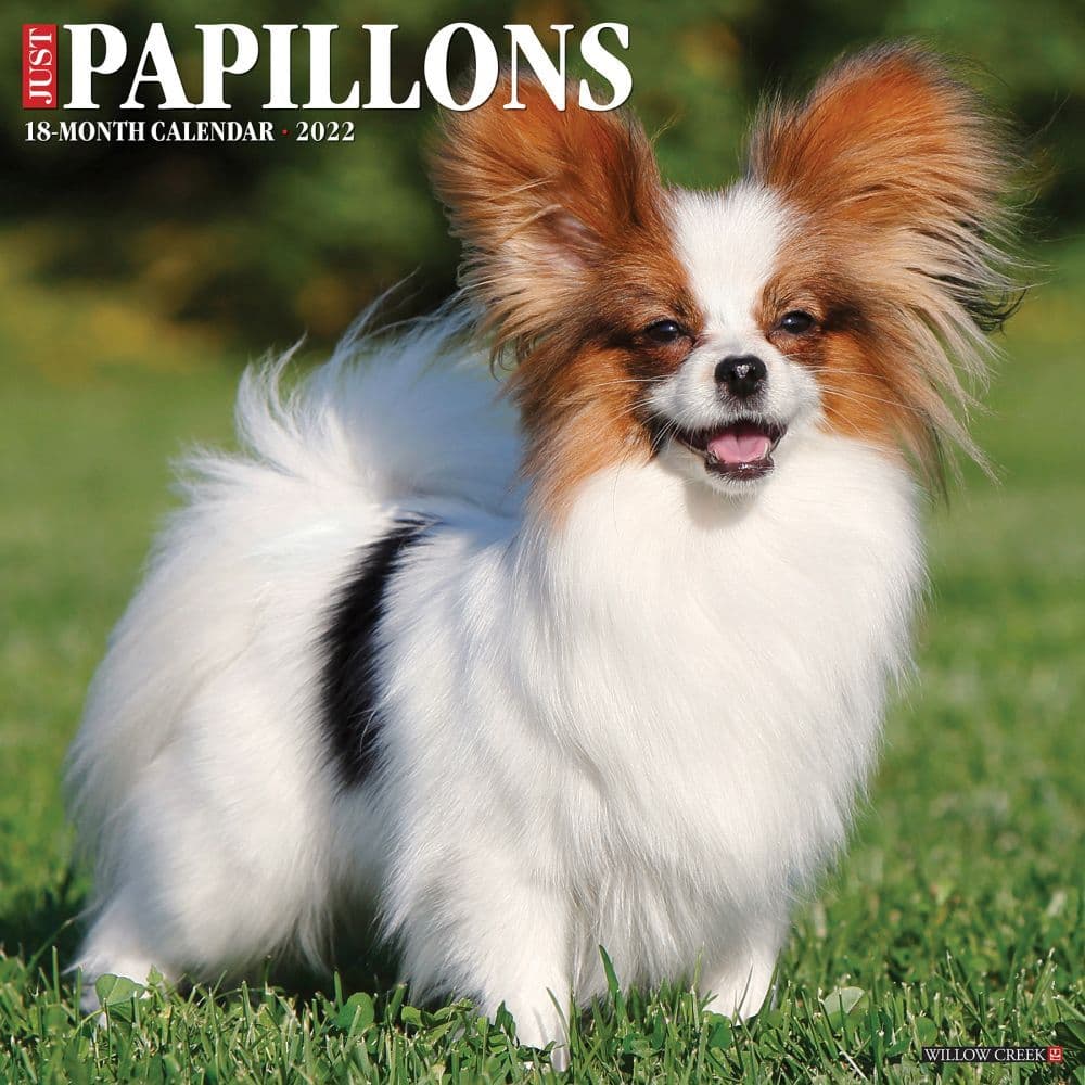 Papillons 2022 Wall Calendar