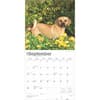 image Puggles 2025 Wall Calendar