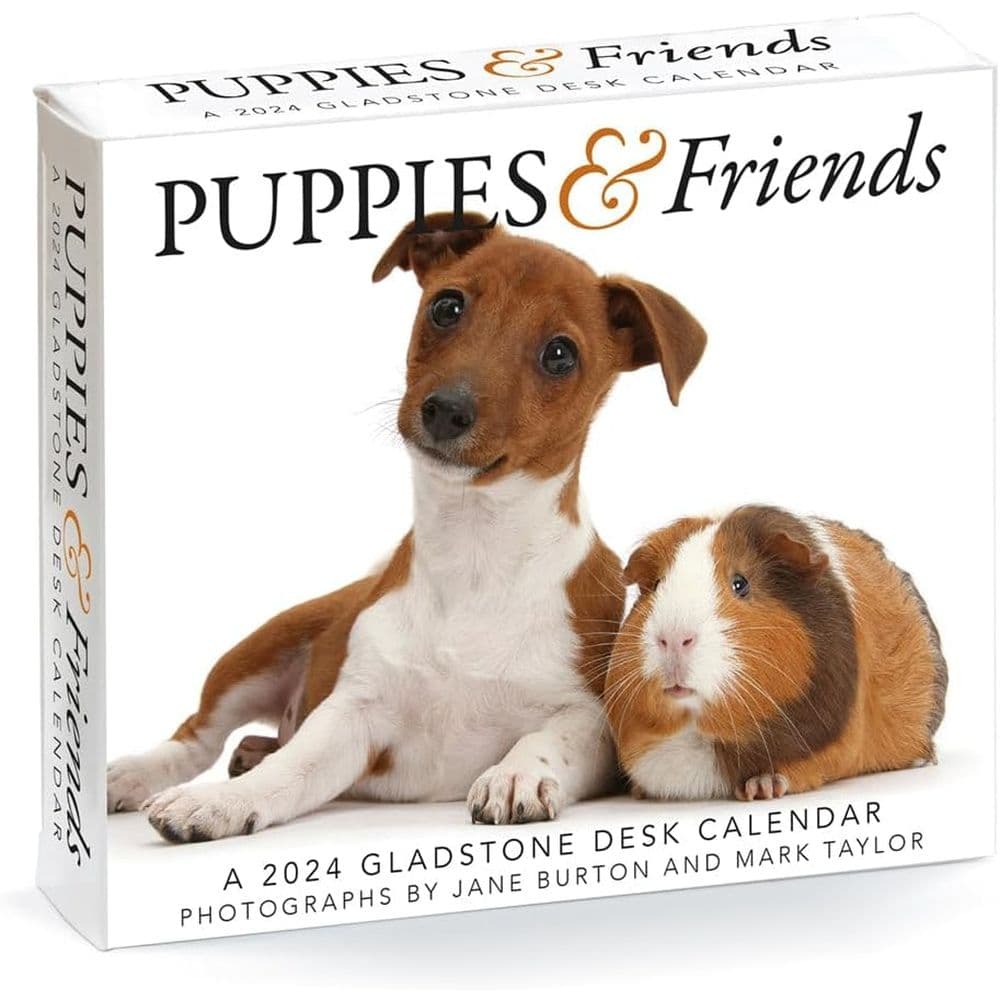 Puppies and Friends 2024 Desk Calendar Calendars