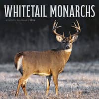 image Whitetail Monarchs 2026 Wall Calendar Main Image