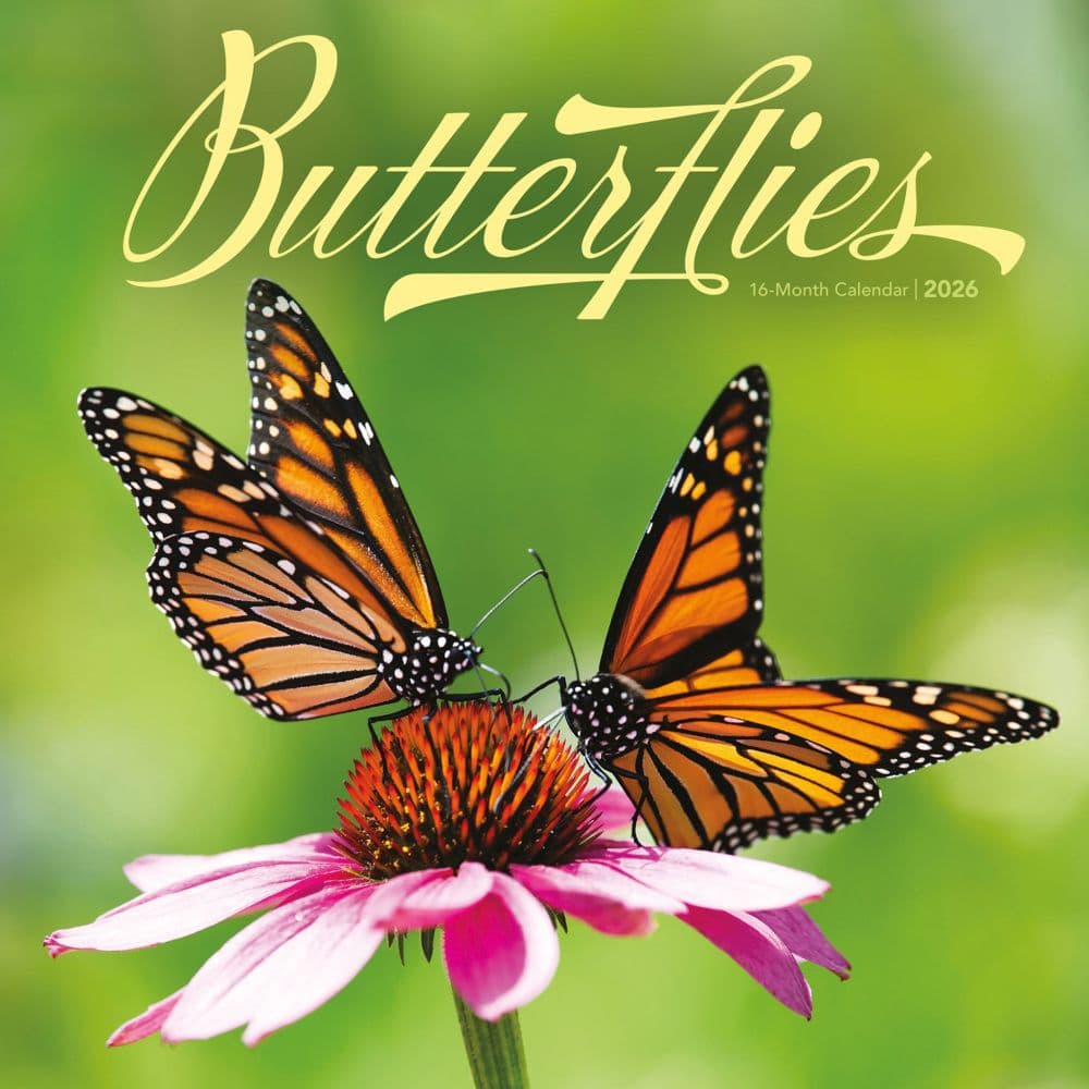 Butterflies Special Value 2026 Wall Calendar Main Image