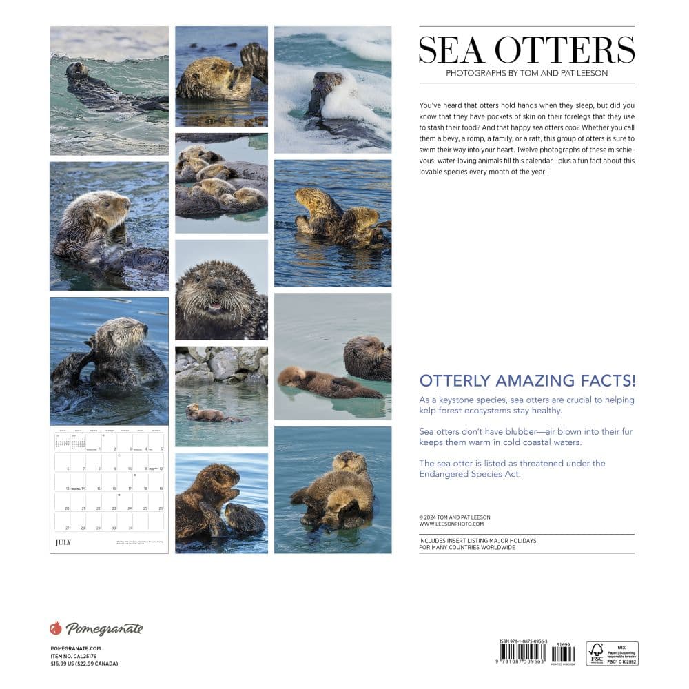 Sea Otters 2025 Wall Calendar First Alternate Image width="1000" height="1000"