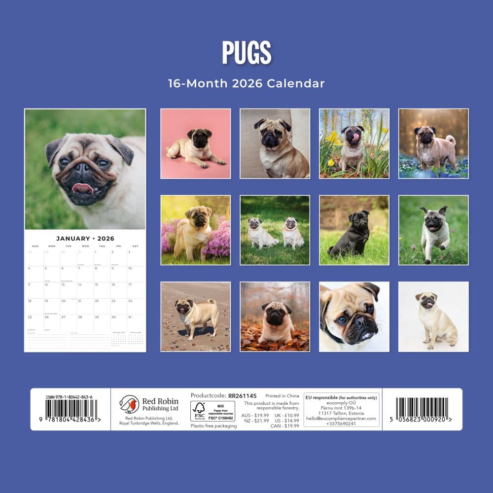 Pugs 2026 Wall Calendar Calendars Com F0065960 D90d 4cdd B2a7