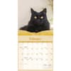 image Black Cats 2026 Wall Calendar Second Alternate Image