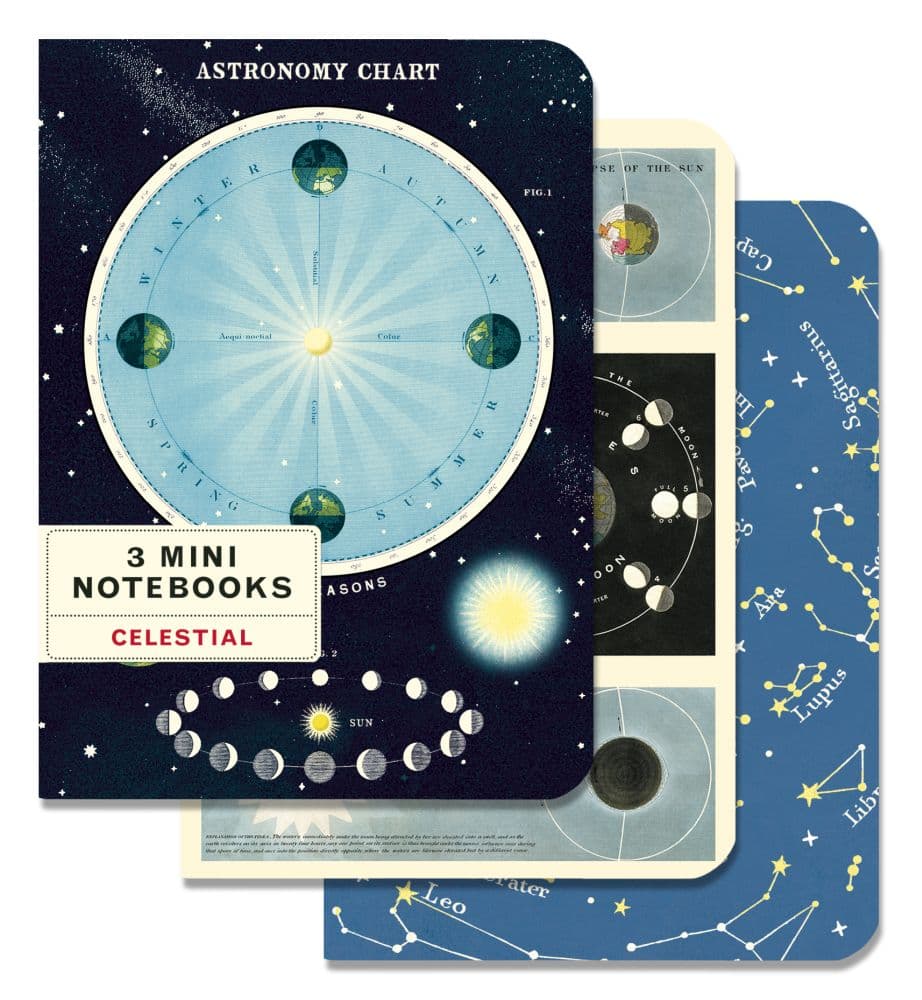 Cavallini Papers & Co. Celestial Mini Notebooks (3 pack)