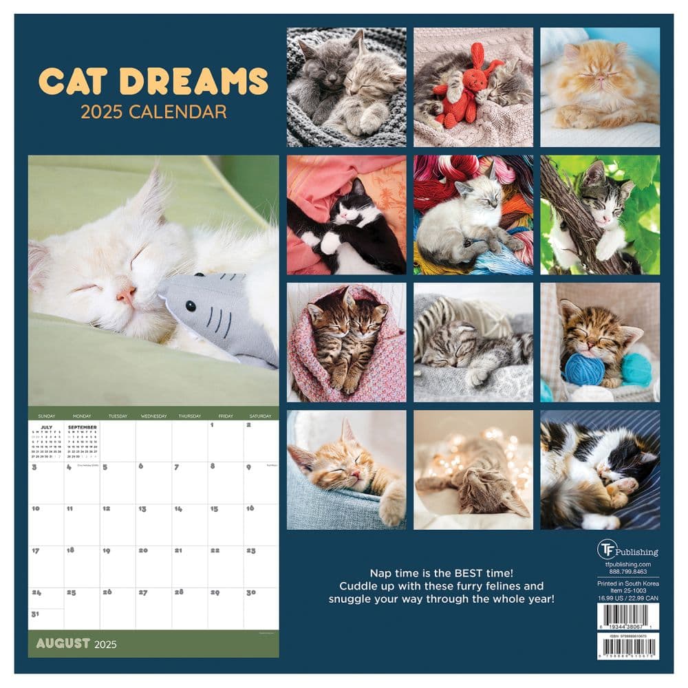 Cat Dreams 2025 Wall Calendar First Alternate Image width=&quot;1000&quot; height=&quot;1000&quot;