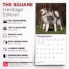 image Alaskan Malamutes 2027 Wall Calendar Fifth Alternate Image