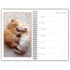 image Cat Naps Classic 2025 Planner Third Alternate  Image width=&quot;1000&quot; height=&quot;1000&quot;