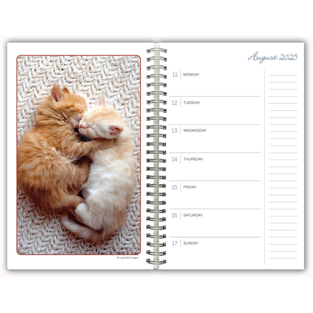 Cat Naps Classic 2025 Planner Third Alternate  Image width=&quot;1000&quot; height=&quot;1000&quot;