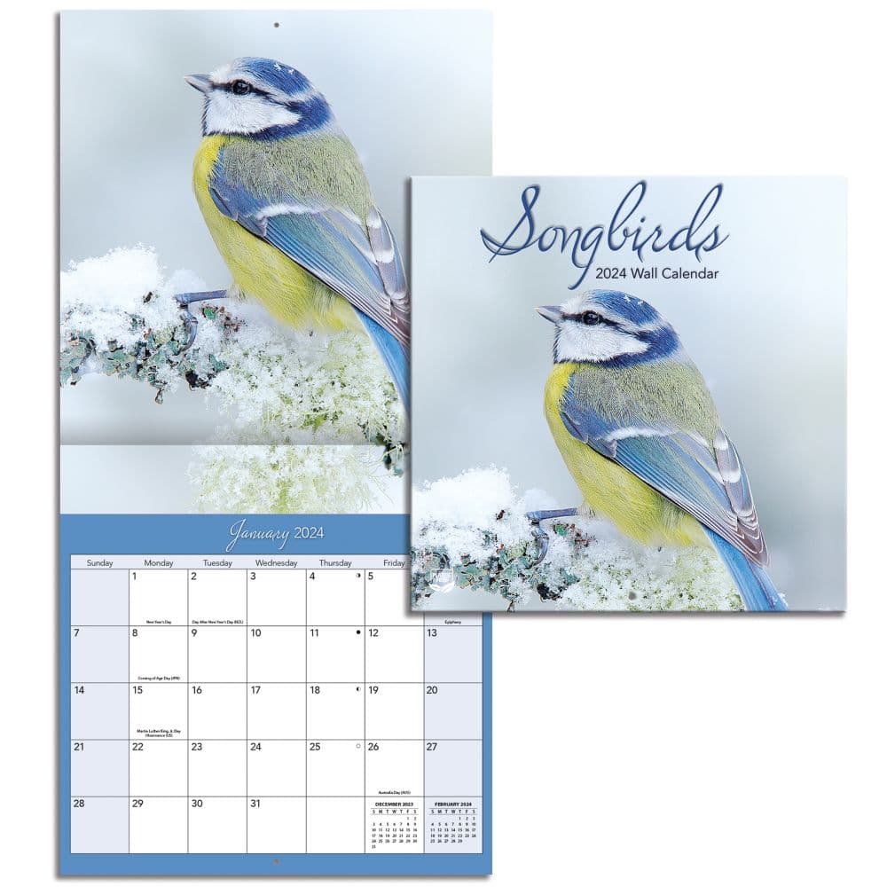 Songbirds Photo 2024 Mini Wall Calendar