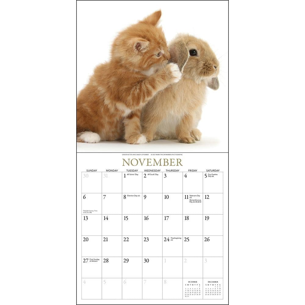 2022 Slim small wall Calendar Puppies Kittens wildlife birds choose your design 