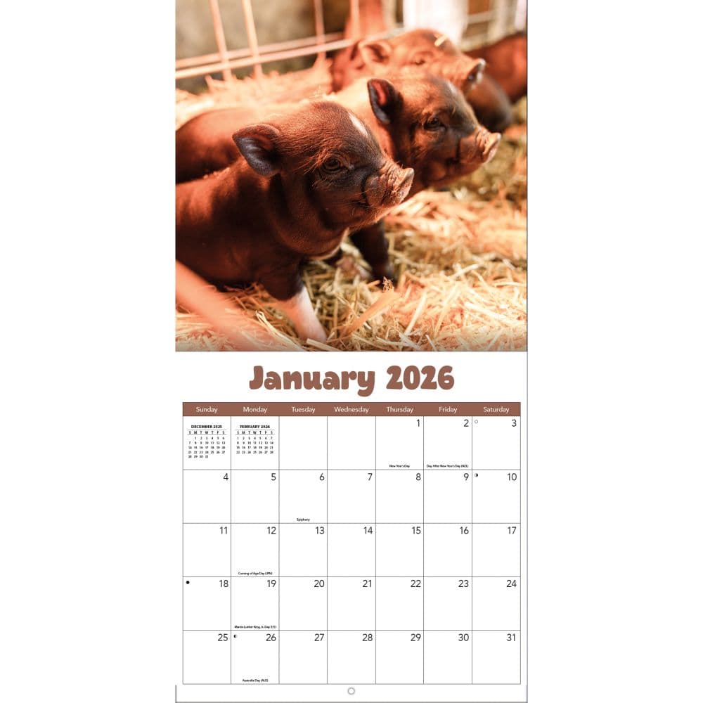 Baby Animals Photo 2026 Wall Calendar_ALT3