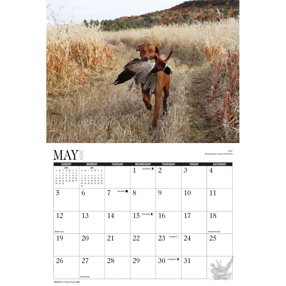 Hunting Dogs and Upland Birds 2024 Wall Calendar