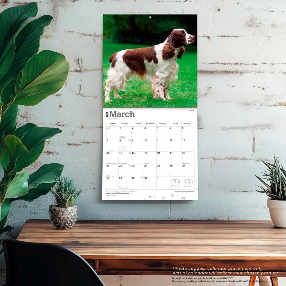 English Springer Spaniels 2027 Wall Calendar Fourth Alternate Image