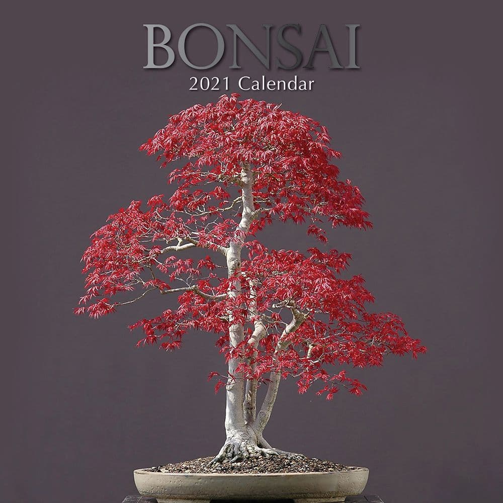 Bonsai Calendar 2022 November Calendar 2022