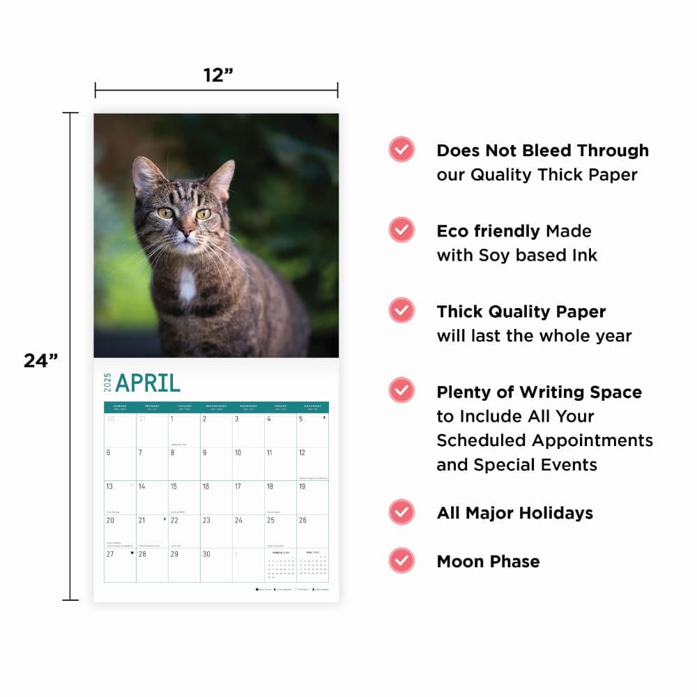 Cats 2025 Wall Calendar Fourth Alternate Image width="1000" height="1000"