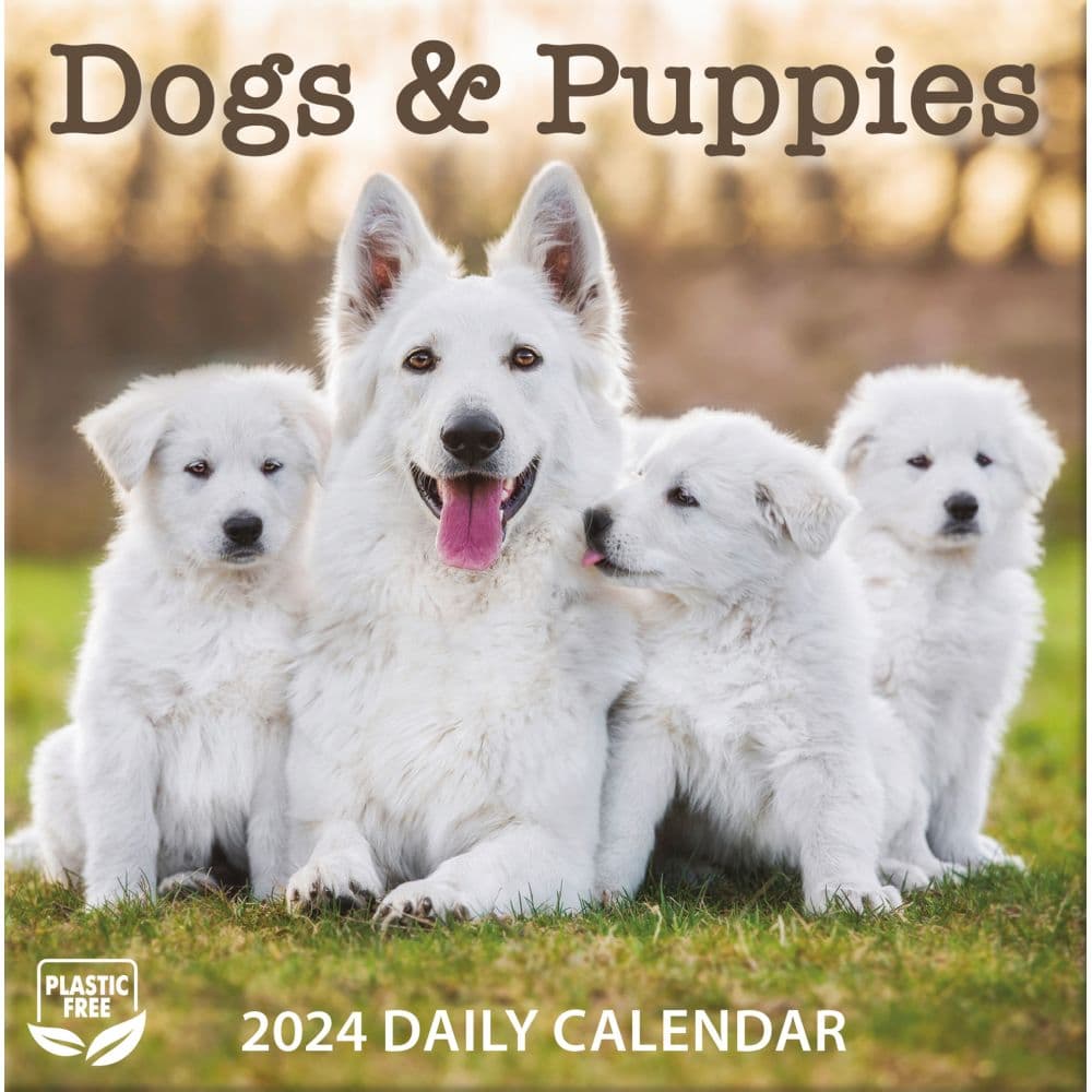 Dogs And Puppies 2024 Desk Calendar