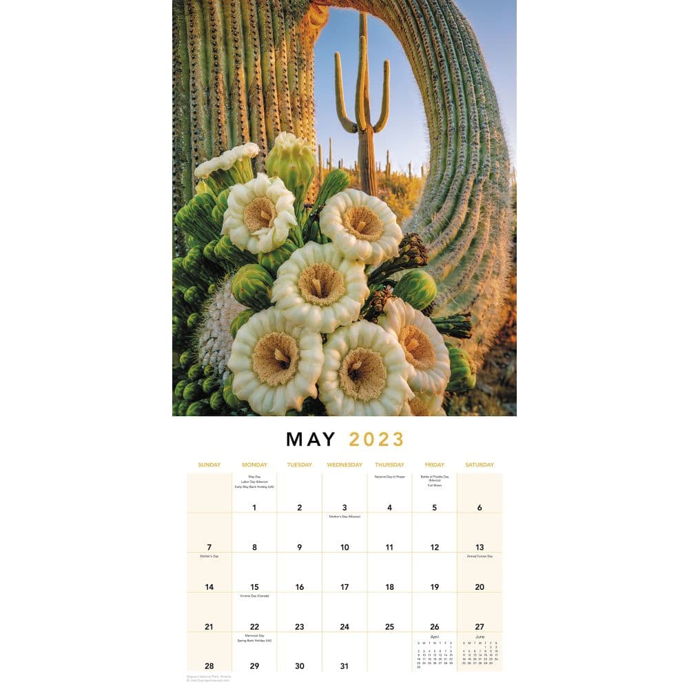 National-Parks-2023-Wall-Calendar - Calendars.com