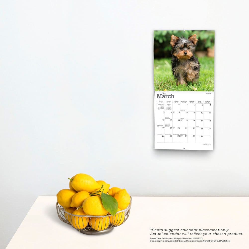 Yorkshire Terrier Puppies 2023 Mini Wall Calendar - Calendars.com