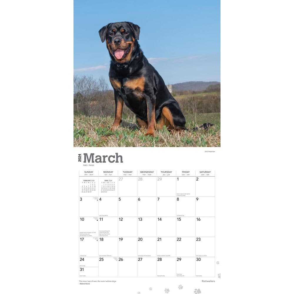 Rottweilers 2024 Wall Calendar Second Alternate Image width=&quot;1000&quot; height=&quot;1000&quot;