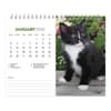 image Kittens 2026 Desk Calendar