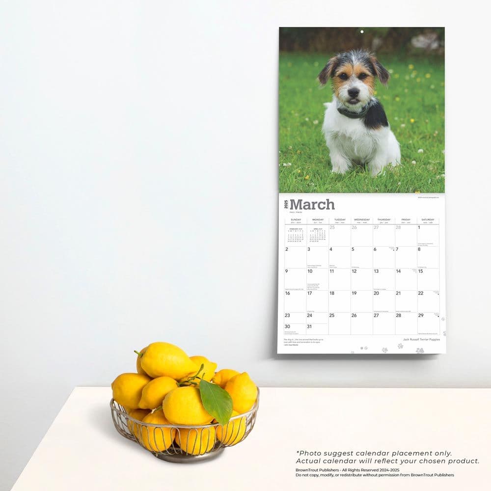 Jack Russell Terrier Puppies 2025 Wall Calendar Fourth Alternate Image