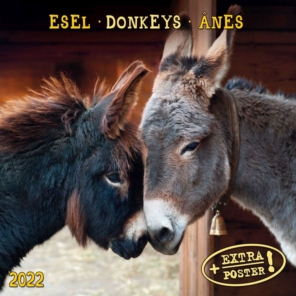 Donkeys 2022 Small Wall Calendar