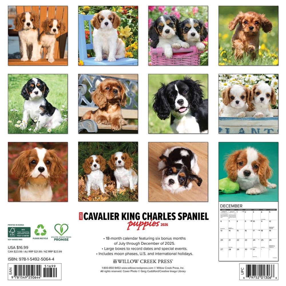 Just Cavalier King Charles Puppies 2026 Wall Calendar First Alternate Image