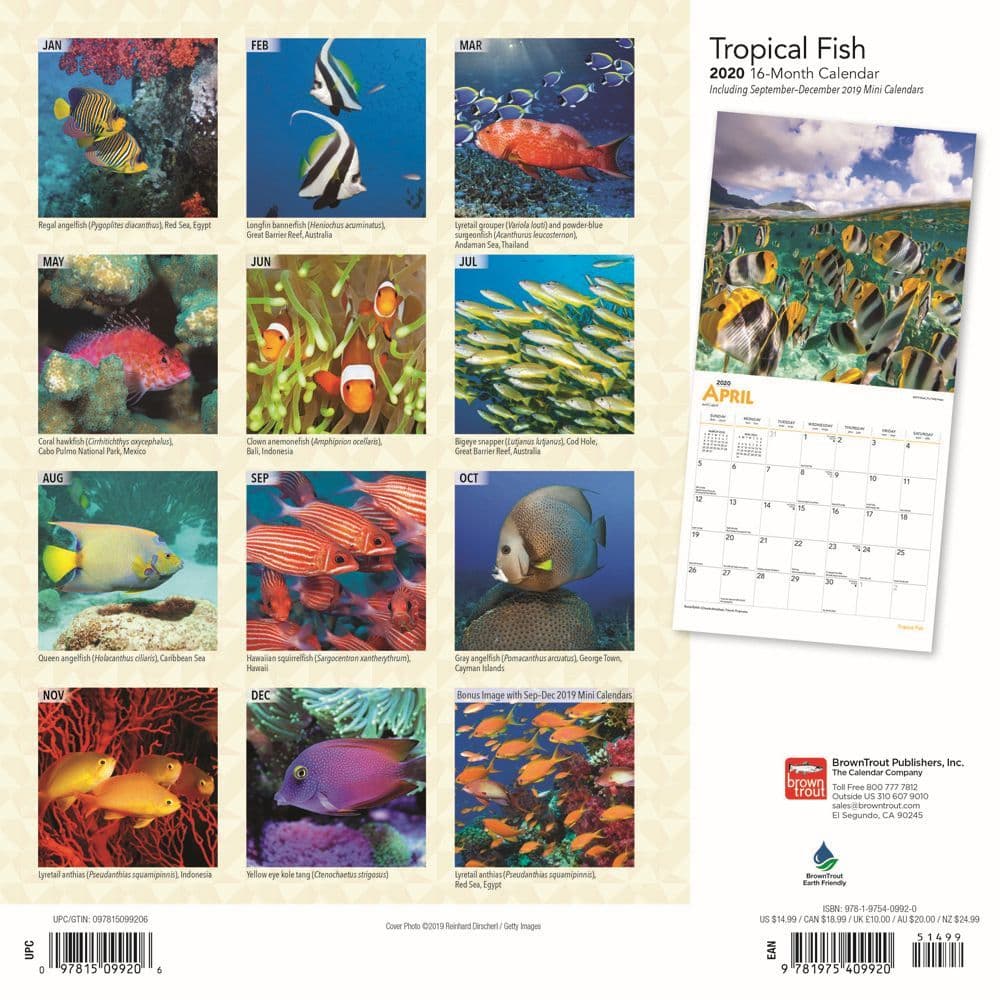 Tropical Fish Wall Calendar