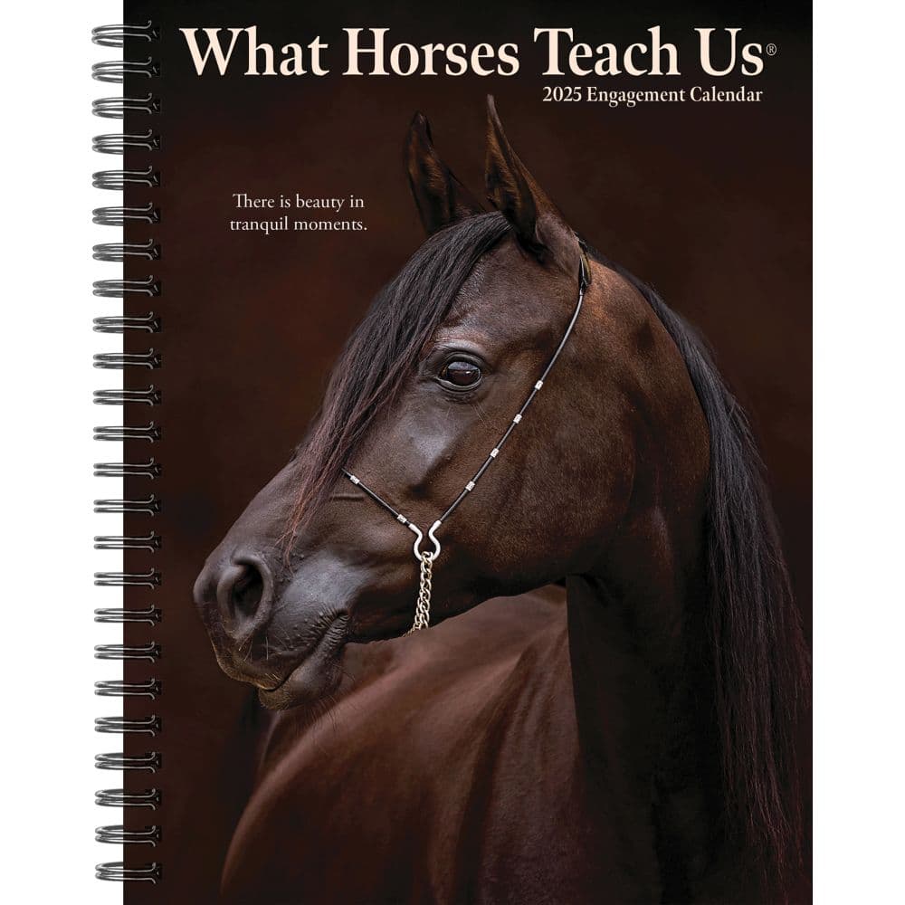 What Horses Teach Us 2025 Engagement Planner Main Image