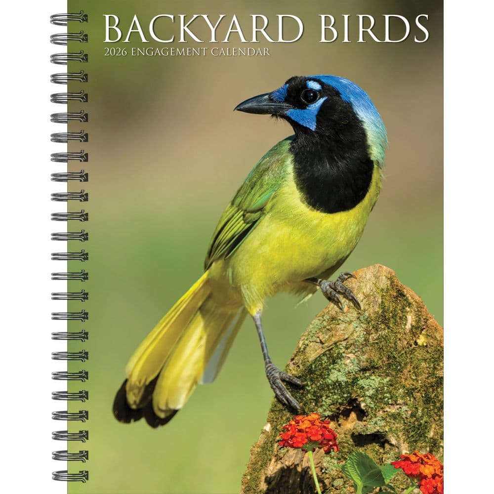 Backyard Birds 2026 Engagement Planner Main Image