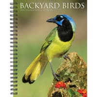 image Backyard Birds 2026 Engagement Planner Main Image